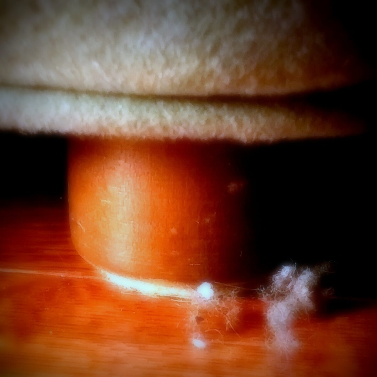 2 bunny under chair 1