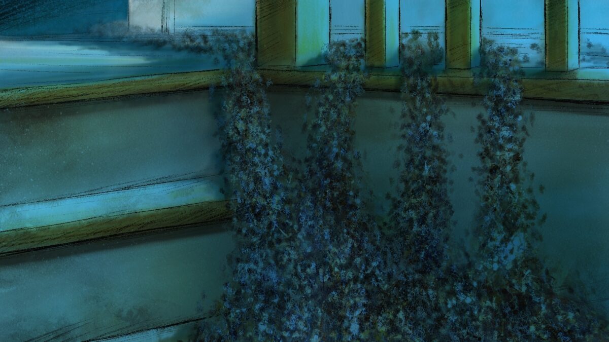 Migration of the dust bunnies