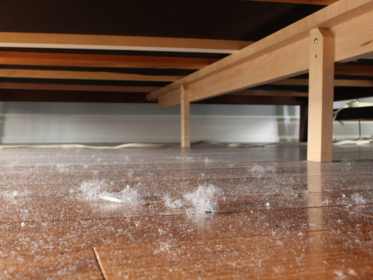 Bunnies under bed