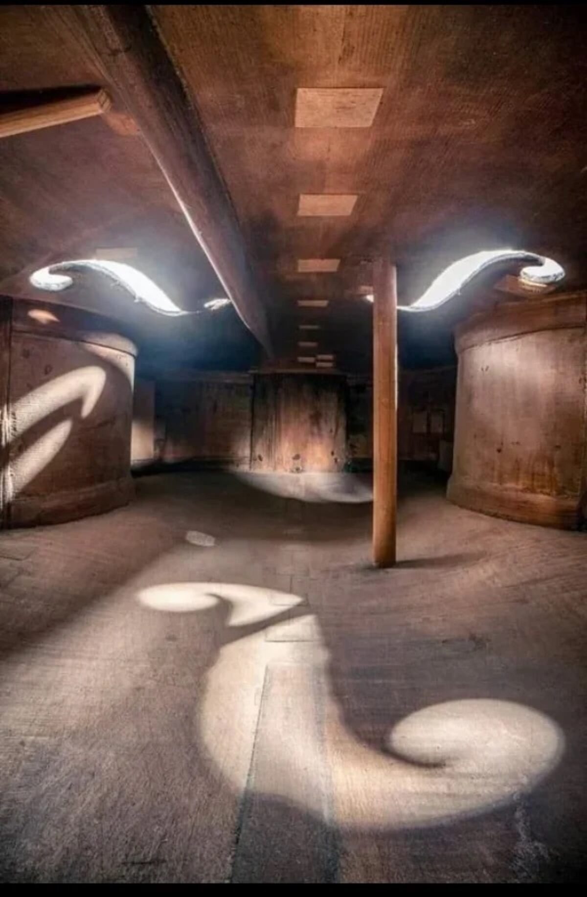 Inside cello