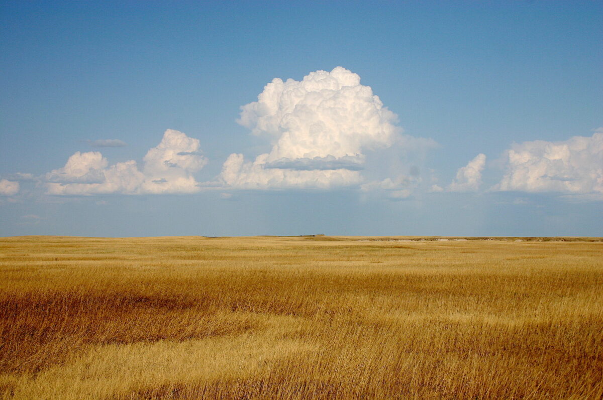 Prairie2