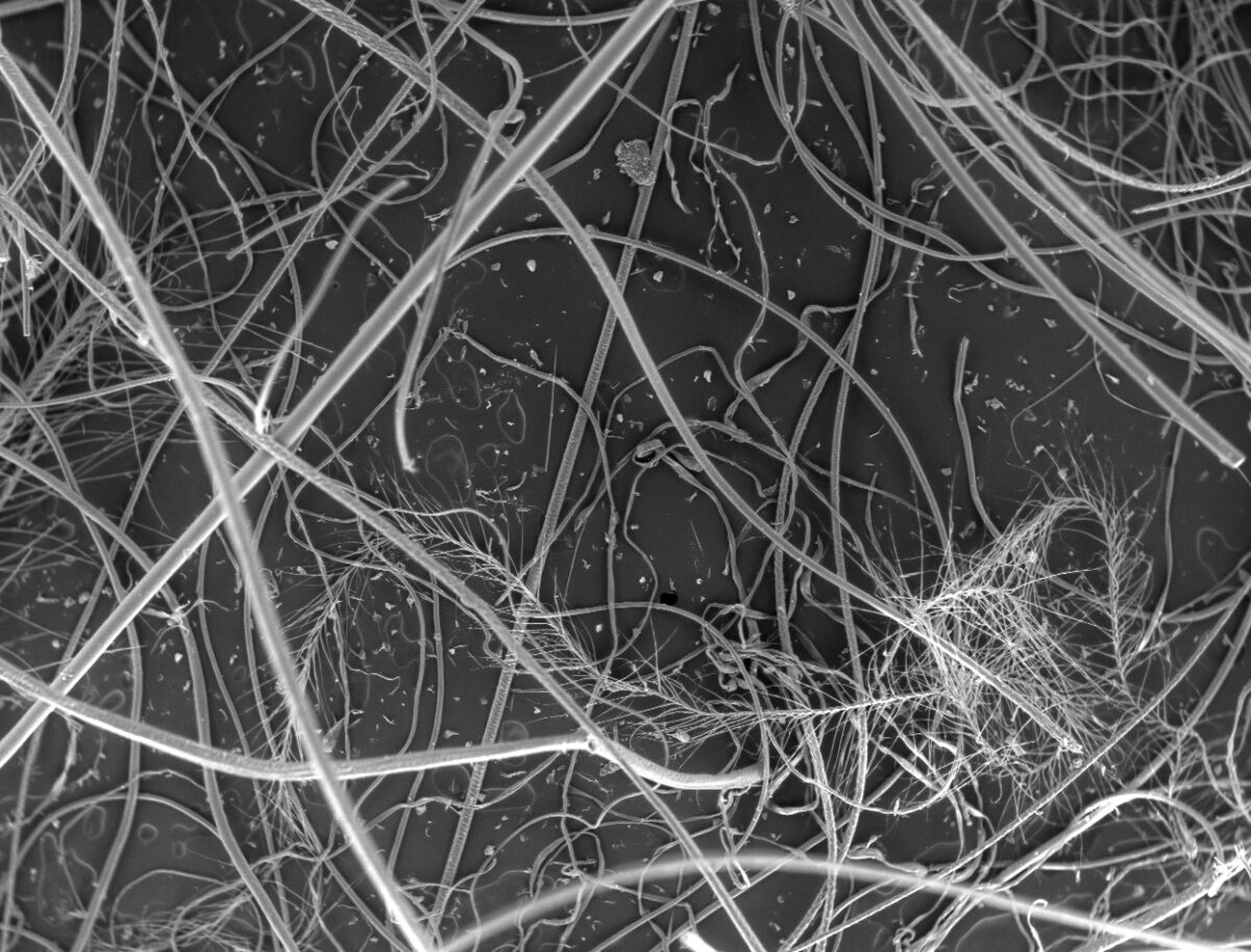 Dust x40 4mm sample